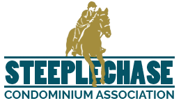 Steeplechase